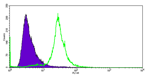 Flow Cytometry (Intracellular) - Anti-Cdc25C antibody [E302] (AB32444)