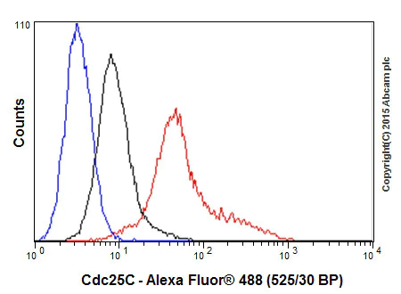 Flow Cytometry (Intracellular) - Anti-Cdc25C antibody [E302] - BSA and Azide free (AB232553)