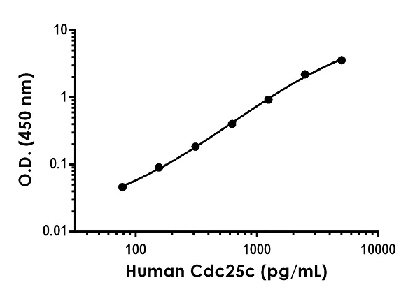 Sandwich ELISA - Anti-Cdc25C antibody [EPR19425-142] - BSA and Azide free (Capture) (AB244715)