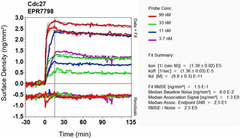 OI-RD Scanning - Anti-Cdc27 antibody [EPR7798] - BSA and Azide free (AB248290), expandable thumbnail