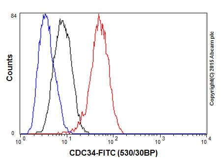 Flow Cytometry (Intracellular) - Anti-Cdc34 antibody [EPR16808] - BSA and Azide free (ab251415), expandable thumbnail