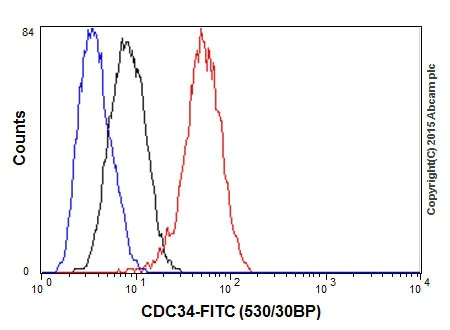 Flow Cytometry (Intracellular) - Anti-Cdc34 antibody [EPR16808] - BSA and Azide free (AB251415)