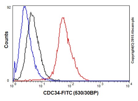 Flow Cytometry (Intracellular) - Anti-Cdc34 antibody [EPR16808] - BSA and Azide free (AB251415), expandable thumbnail