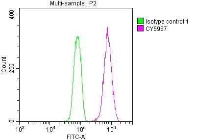 Flow Cytometry - Anti-Cdc37 antibody [10C3] (AB288379)
