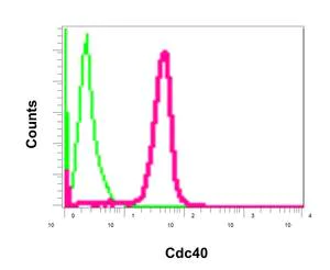 Flow Cytometry (Intracellular) - Anti-CDC40 antibody [EPR12539] - BSA and Azide free (AB249891)