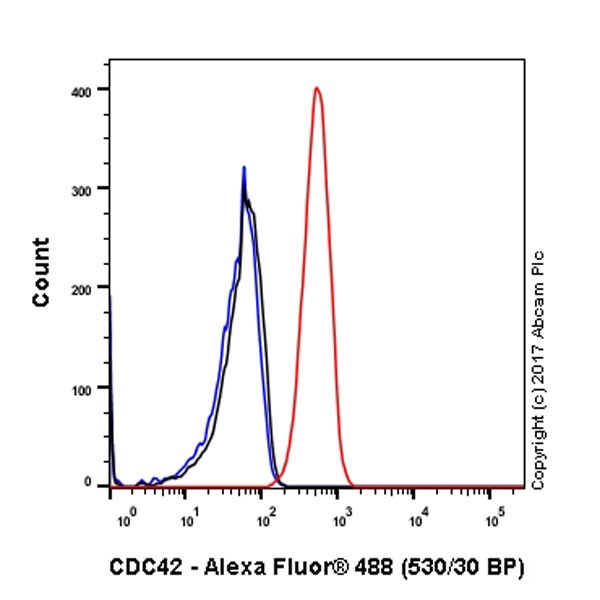Flow Cytometry (Intracellular) - Anti-CDC42 antibody [EPR15620] - BSA and Azide free (ab271953), expandable thumbnail