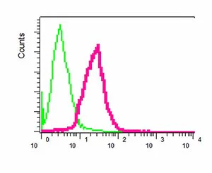 Flow Cytometry (Intracellular) - Anti-CDC7 antibody [EPR4730] - BSA and Azide free (AB247634)