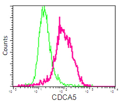 Flow Cytometry (Intracellular) - Anti-CDCA5 antibody [EPR16331] - BSA and Azide free (AB240328), expandable thumbnail