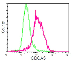 Flow Cytometry (Intracellular) - Anti-CDCA5 antibody [EPR16331] - BSA and Azide free (AB240328)