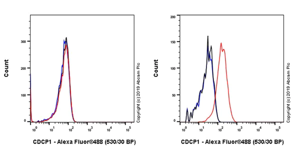 Flow Cytometry - Anti-CDCP1 antibody [EPR22487-231] - BSA and Azide free (AB245983)