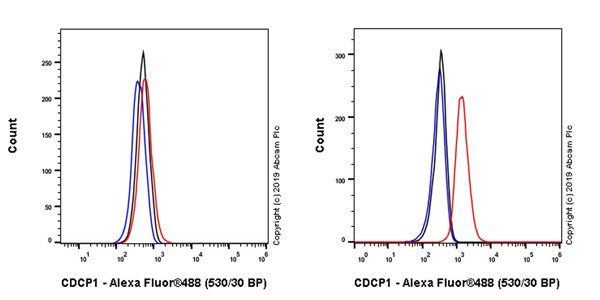Flow Cytometry (Intracellular) - Anti-CDCP1 antibody [EPR23162-102] - BSA and Azide free (AB264472)