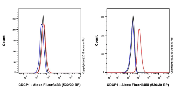 Flow Cytometry (Intracellular) - Anti-CDCP1 antibody [EPR23162-102] - BSA and Azide free (AB264472)
