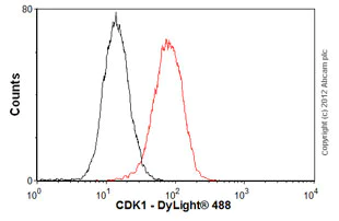 Flow Cytometry (Intracellular) - Anti-CDK1 antibody [A17] - BSA and Azide free (AB264084)