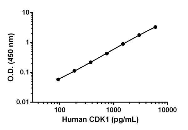 Sandwich ELISA - Anti-CDK1 + CDK2 + CDK3 antibody [E53] - BSA and Azide free (Capture) (AB242621), expandable thumbnail
