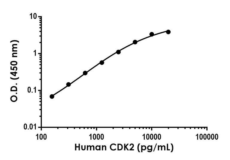 Sandwich ELISA - Anti-CDK2 antibody [EPR24495-145] - BSA and Azide free (Detector) (AB300171)