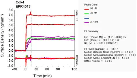 OI-RD Scanning - Anti-Cdk4 antibody [EPR4513-32-7] - BSA and Azide free (AB213216)
