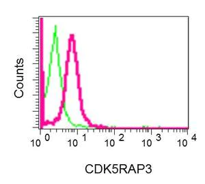 Flow Cytometry (Intracellular) - Anti-CDK5RAP3 antibody [EPR11294(B)] - BSA and Azide free (AB242399)
