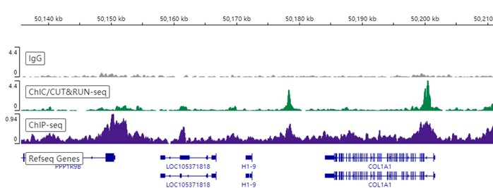 ChIC/CUT&RUN sequencing - Anti-Cdk9 antibody [EPR22956-37] - ChIP Grade - BSA and Azide free (ab259268), expandable thumbnail