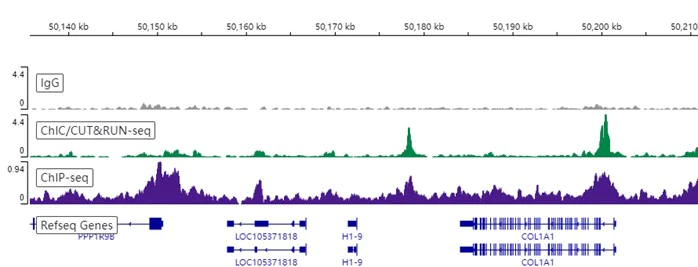 ChIC/CUT&RUN sequencing - Anti-Cdk9 antibody [EPR22956-37] - ChIP Grade - BSA and Azide free (AB259268)