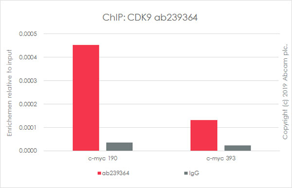 ChIP - Anti-Cdk9 antibody [EPR22956-37] - ChIP Grade - BSA and Azide free (AB259268), expandable thumbnail