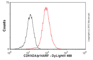 Flow Cytometry - Anti-CDKN2A/p14ARF antibody [ARF 4C6/4] (AB11048)