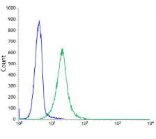 Flow Cytometry (Intracellular) - Anti-CDKN2A/p14ARF antibody [SP271] (AB216602), expandable thumbnail