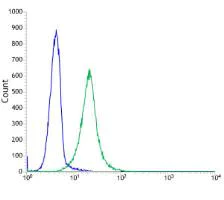 Flow Cytometry (Intracellular) - Anti-CDKN2A/p14ARF antibody [SP271] - BSA and Azide free (AB271999)