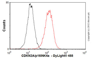 Flow Cytometry (Intracellular) - Anti-CDKN2A/p16INK4a antibody [EPR1473] - BSA and Azide free (AB186932), expandable thumbnail