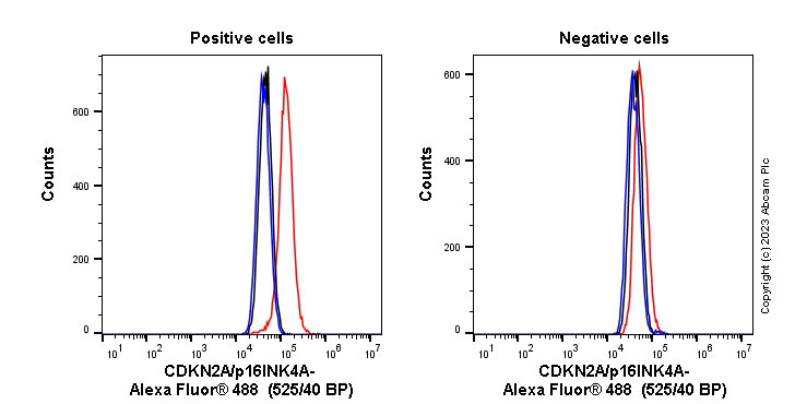 Flow Cytometry (Intracellular) - Anti-CDKN2A/p16INK4a antibody [EPR1473] - BSA and Azide free (ab186932), expandable thumbnail