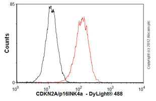 Flow Cytometry (Intracellular) - Anti-CDKN2A/p16INK4a antibody [EPR1473] - C-terminal (AB108349)