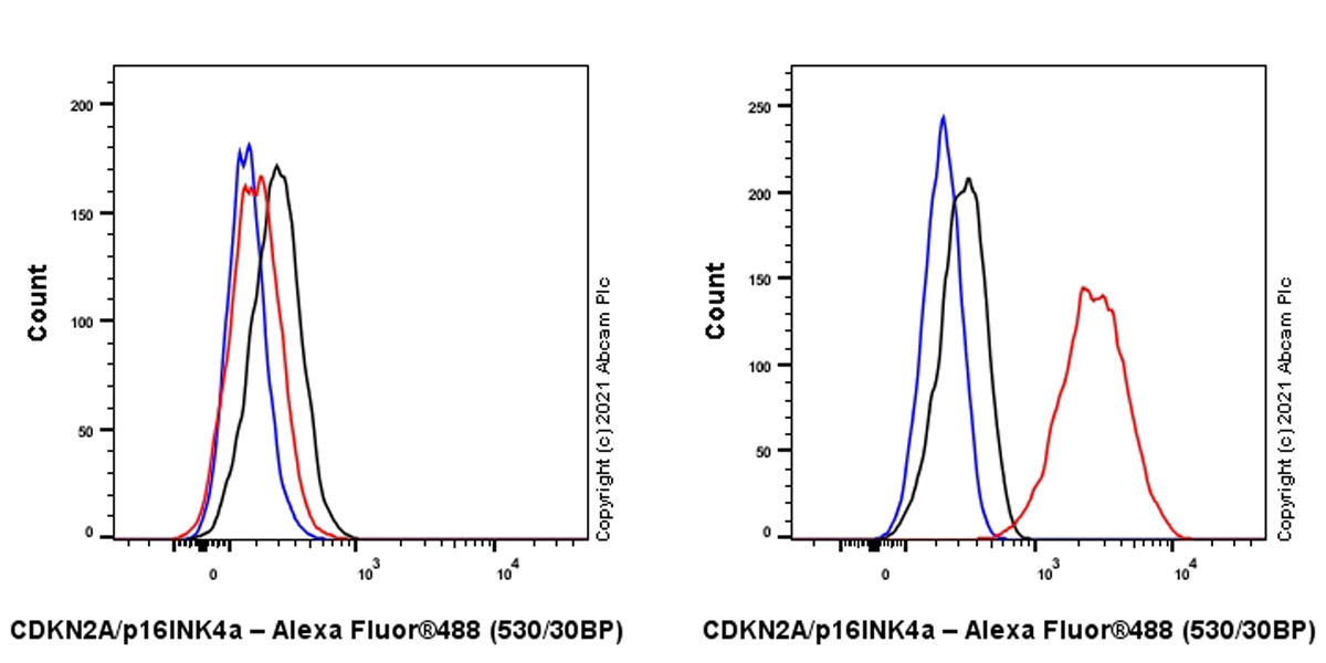 Flow Cytometry (Intracellular) - Anti-CDKN2A/p16INK4a antibody [EPR24167-43] (ab270058), expandable thumbnail