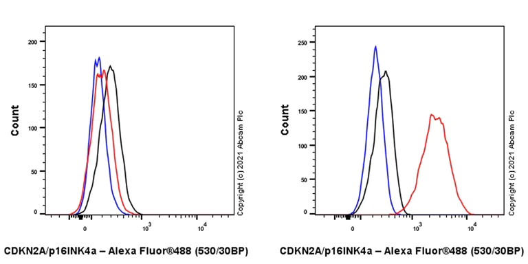 Flow Cytometry (Intracellular) - Anti-CDKN2A/p16INK4a antibody [EPR24167-43] - BSA and Azide free (AB282285)