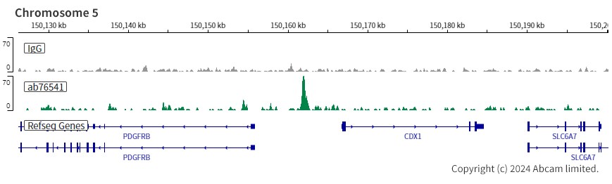 ChIC/CUT&RUN sequencing - Anti-CDX2 antibody [EPR2764Y] - BSA and Azide free (ab220799), expandable thumbnail