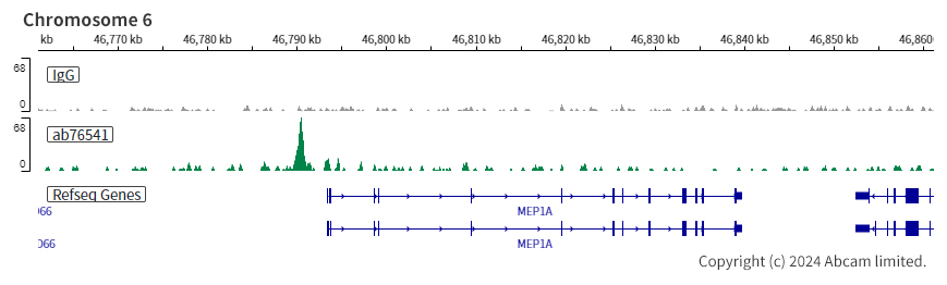 ChIC/CUT&RUN sequencing - Anti-CDX2 antibody [EPR2764Y] - BSA and Azide free (ab220799), expandable thumbnail