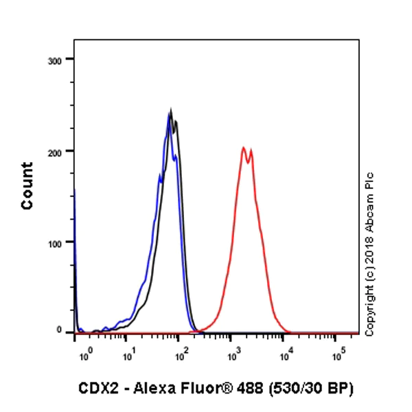 Flow Cytometry (Intracellular) - Anti-CDX2 antibody [SP54] - BSA and Azide free (AB240936)