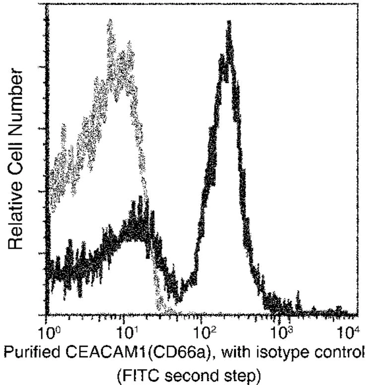 Flow Cytometry - Anti-CEACAM1 antibody [117] - BSA and Azide free (AB277129)