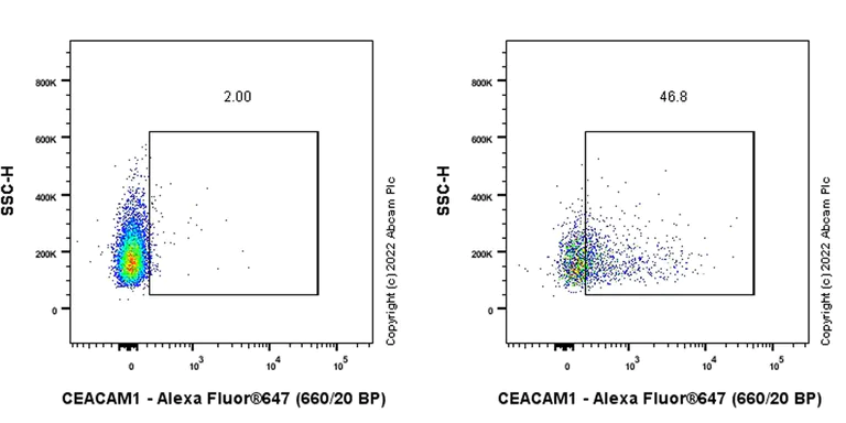 Flow Cytometry - Anti-CEACAM1 antibody [EPR26490-88] (BSA and Azide free) (AB300062)