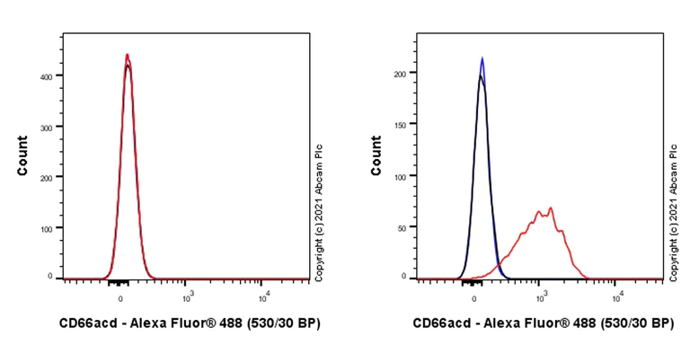 Flow Cytometry - Anti-CEACAM1 + CEACAM3 + CEACAM6 antibody [YTH71.3] (AB104450)