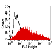Flow Cytometry - Anti-CEACAM1 + CEACAM5 antibody [4/3/17] (AB91213)