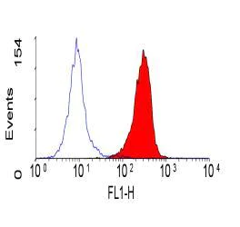 Flow Cytometry - Anti-CEACAM1 + CEACAM6 + CEACAM3 antibody [YTH71.3] (AB128720)
