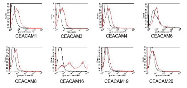 Flow Cytometry - Anti-CEACAM16 antibody [SU-9D5] (AB167477)