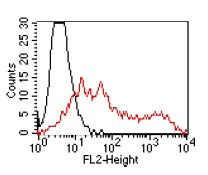 Flow Cytometry - Anti-CEACAM16 antibody [SU-9D5] (AB167477)