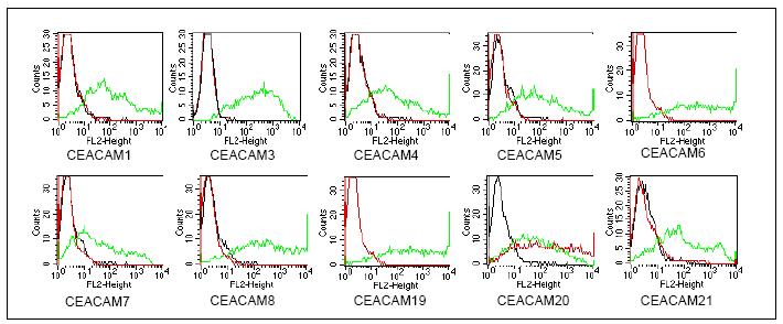 Flow Cytometry - Anti-CEACAM20 antibody [HT-12D8] (AB59626)