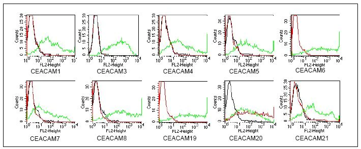 Flow Cytometry - Anti-CEACAM20 antibody [HT-12D8] (AB59626)