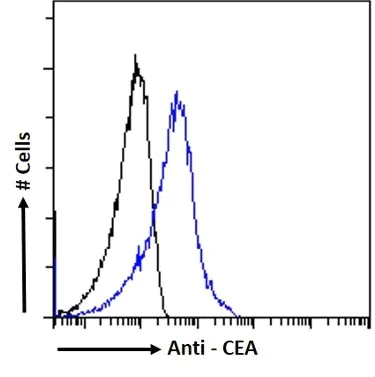 Flow Cytometry - Anti-CEACAM5 Antibody [CB30] (AB316349)
