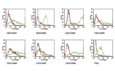 Flow Cytometry - Anti-CEACAM7 antibody [BAC2] (AB26281)