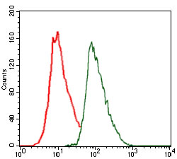 Flow Cytometry - Anti-CEBP Alpha/CEBPA antibody [4E10] (AB128162)