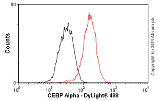 Flow Cytometry (Intracellular) - Anti-CEBP Alpha/CEBPA antibody [EP708Y] (AB40761)