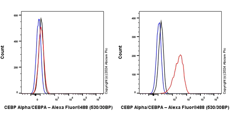 Flow Cytometry (Intracellular) - Anti-CEBP Alpha/CEBPA antibody [EPR27924-90] - BSA and Azide free (AB317443)