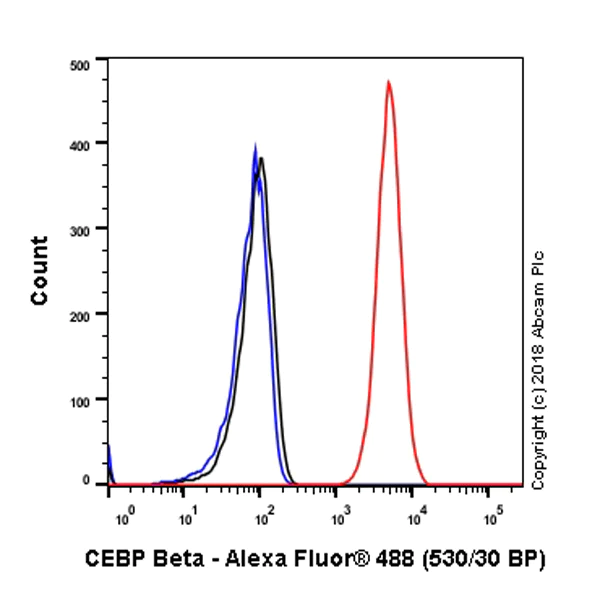 Flow Cytometry (Intracellular) - Anti-CEBP Beta antibody [E299] - BSA and Azide free (AB220813)